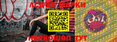 бошки Новозыбков