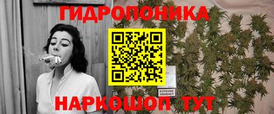 бошки Новозыбков