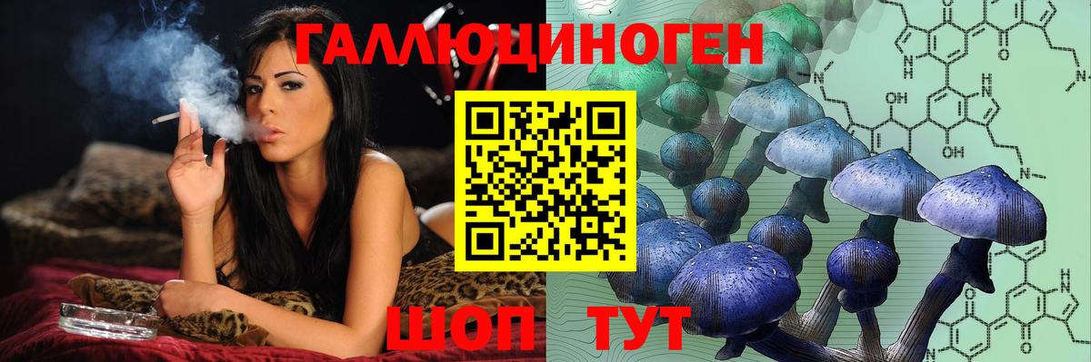 Сафоново  Псилоцибиновые грибы прущие грибы  Вход с VPN  Псилоцибиновые грибы MAGIC MUSHROOMS 