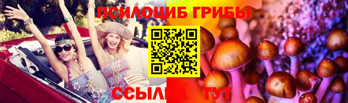 Галлюциногенные грибы GOLDEN TEACHER Сафоново